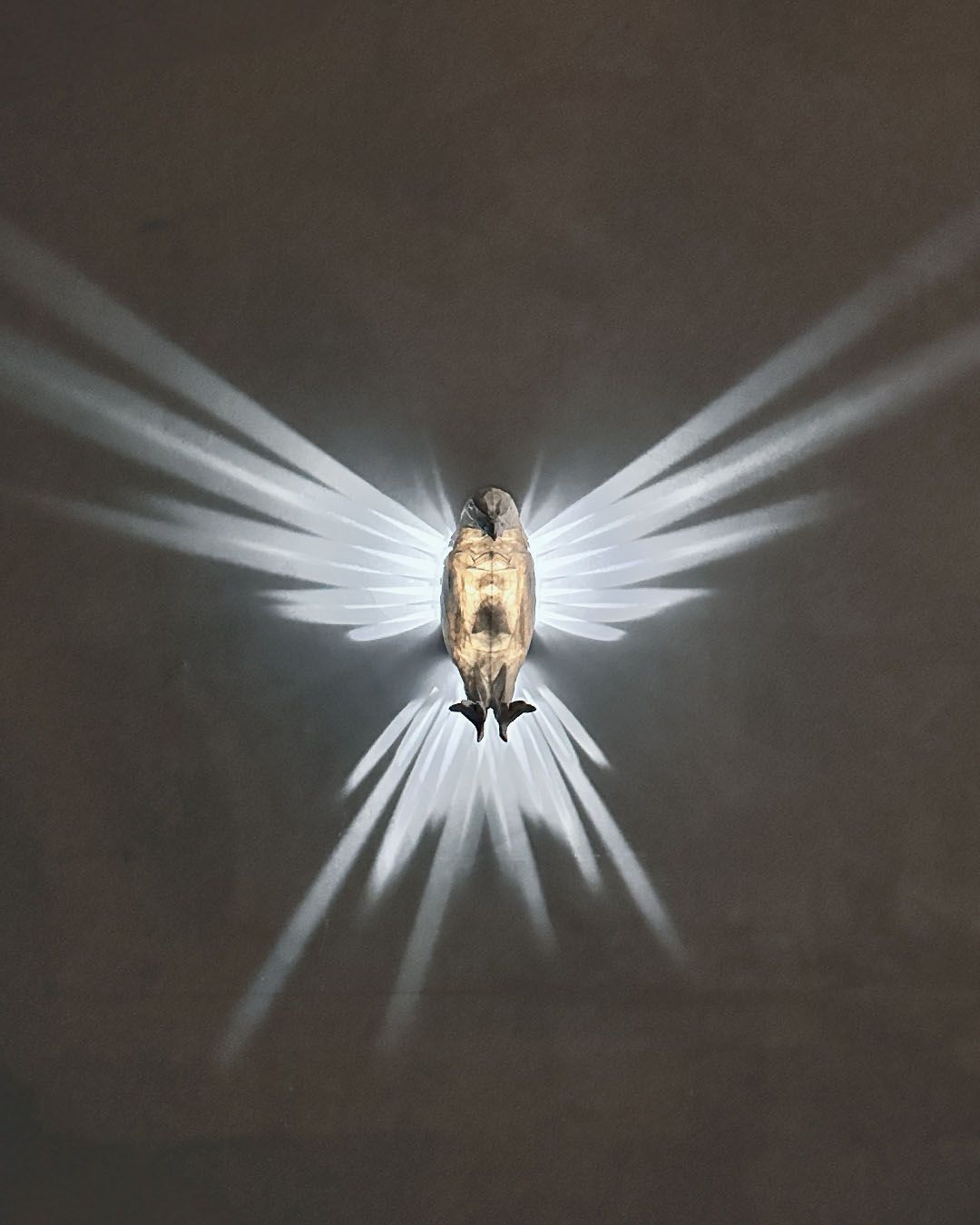 Midnight Eagle – Bald Eagle LED Projection Wall Light
