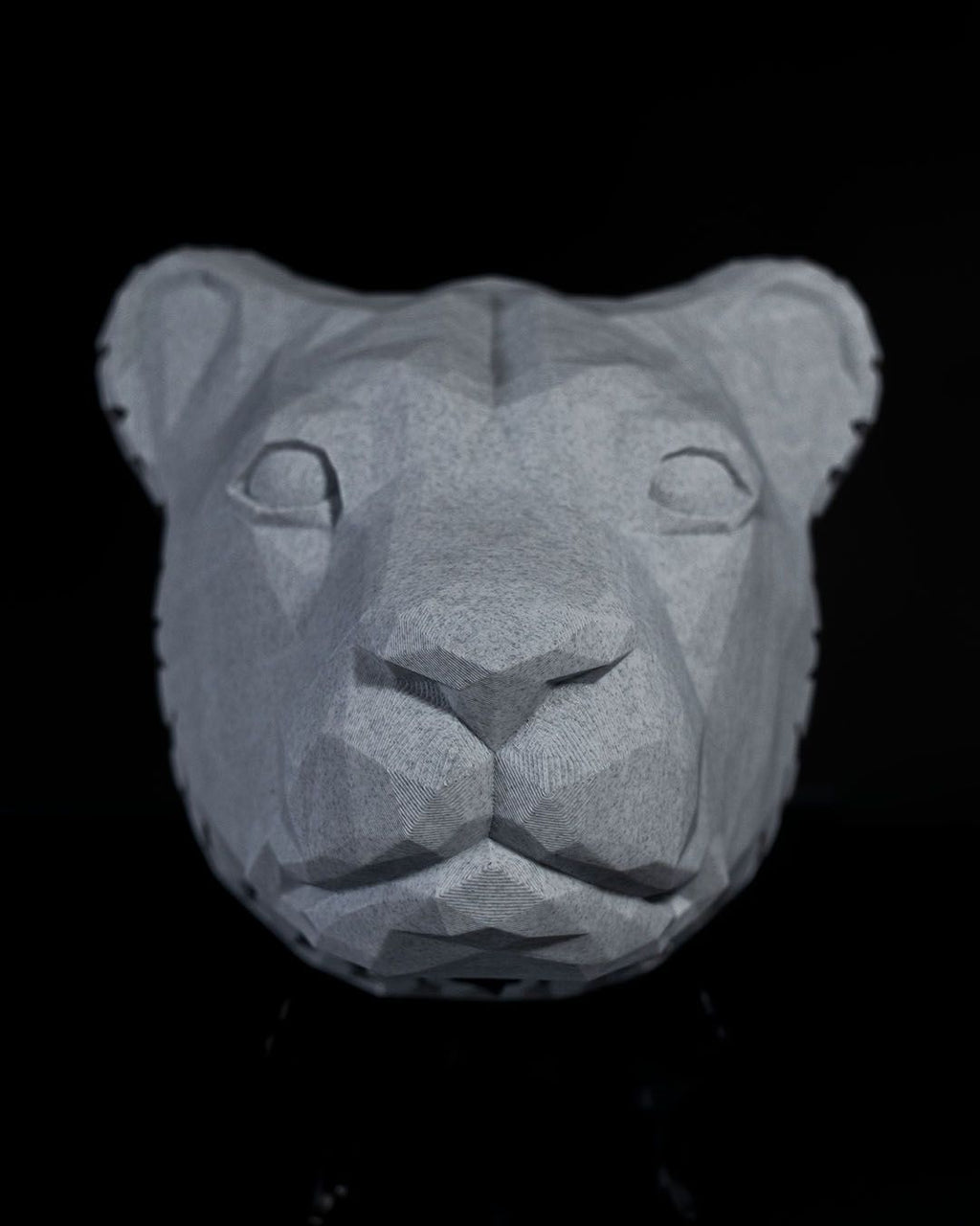 King of the Wall LED Lion Projection Light