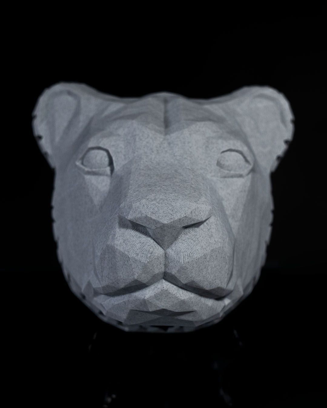 King of the Wall LED Lion Projection Light