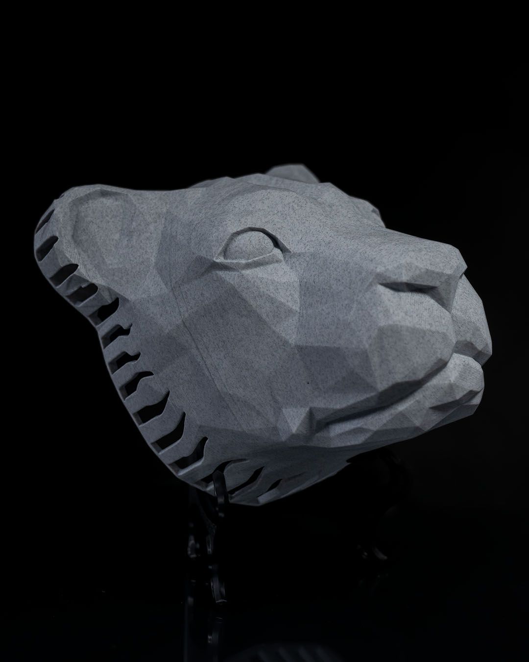 King of the Wall LED Lion Projection Light