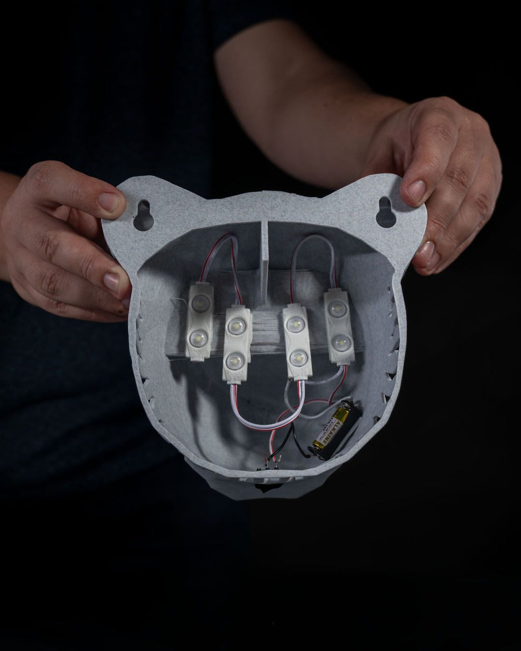 King of the Wall LED Lion Projection Light