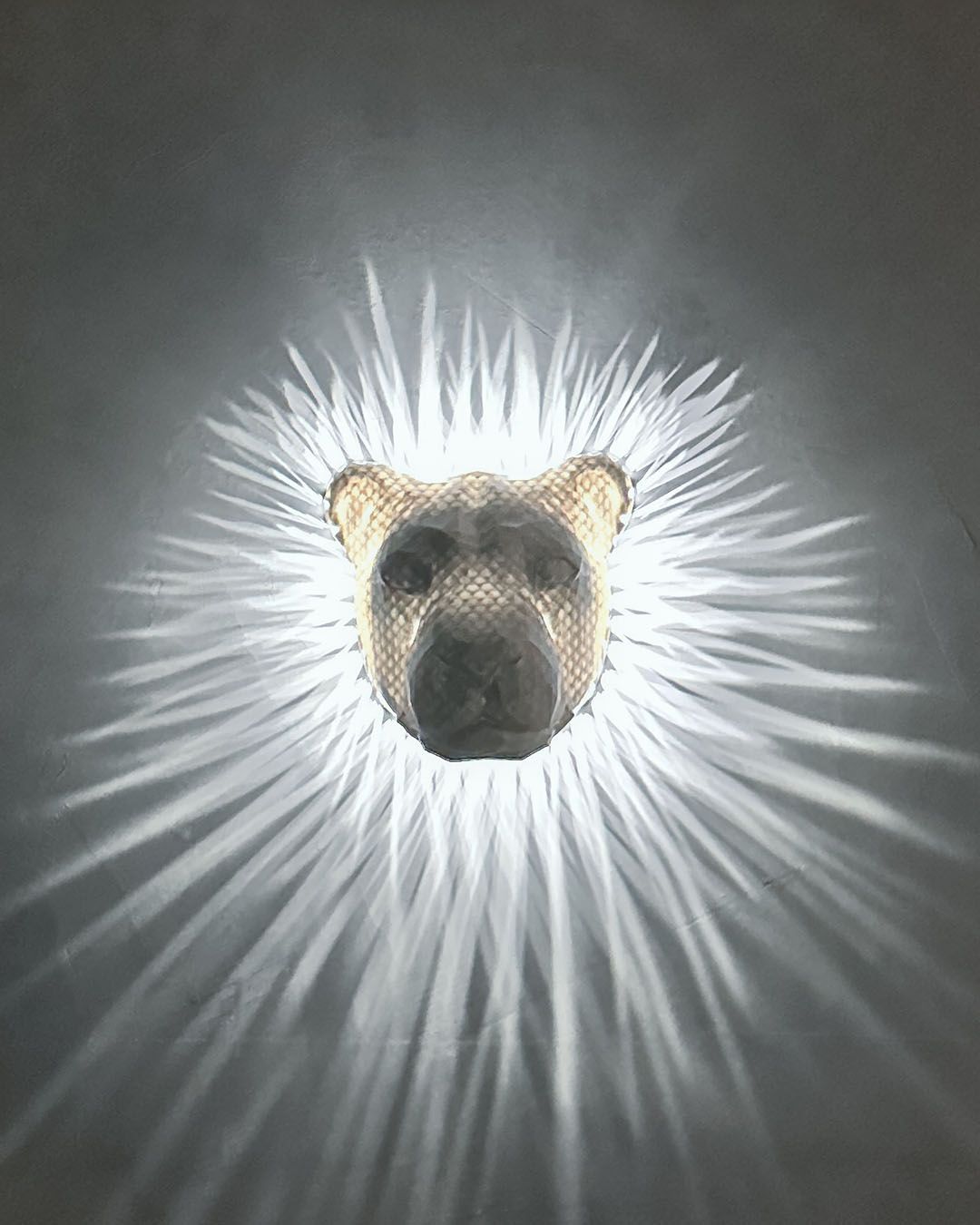 King of the Wall LED Lion Projection Light