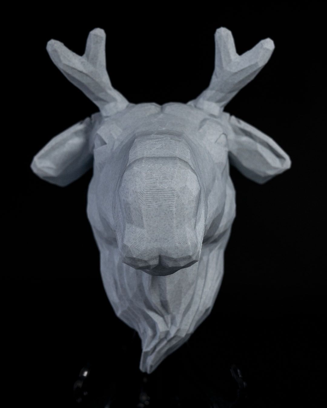 High Elk LED Projection Wall Light