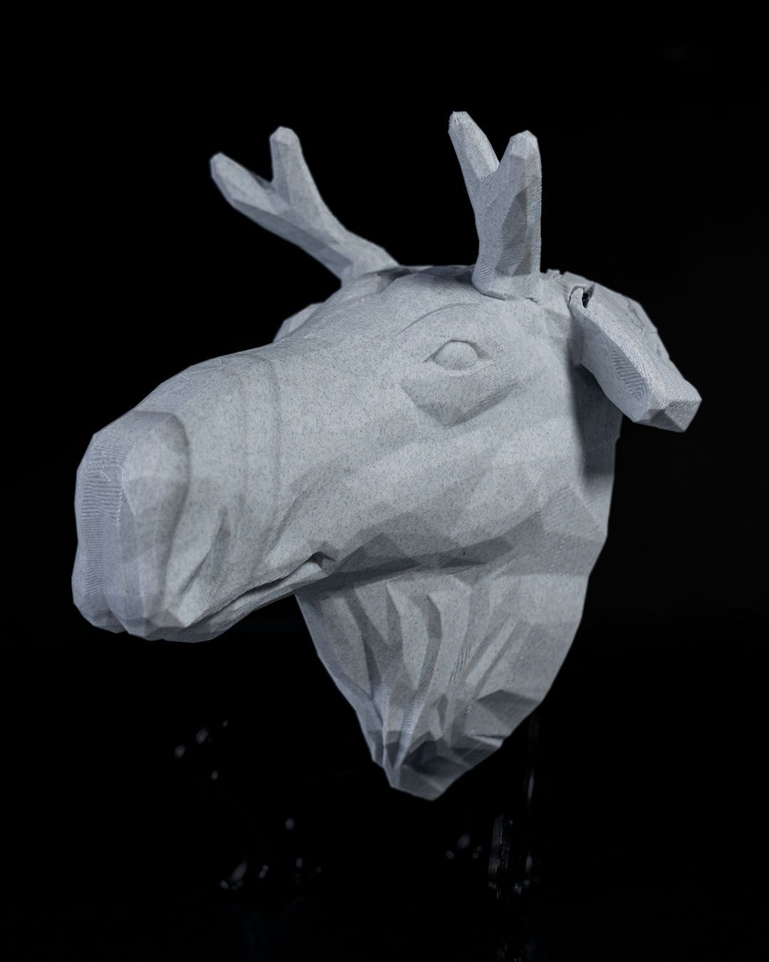 High Elk LED Projection Wall Light