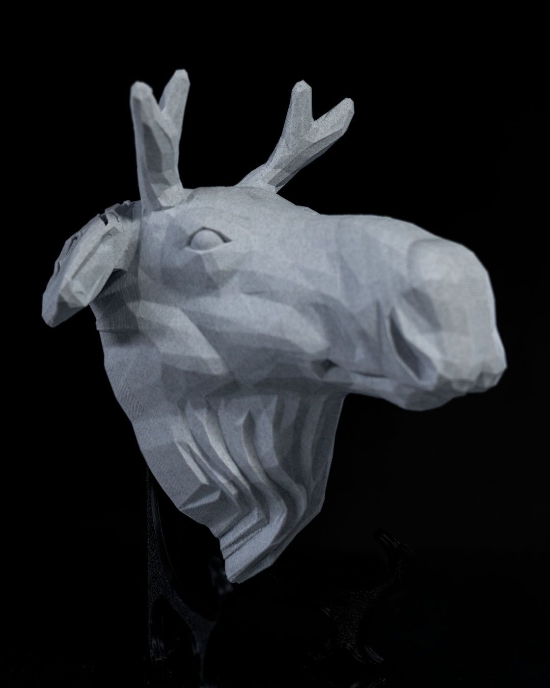 High Elk LED Projection Wall Light
