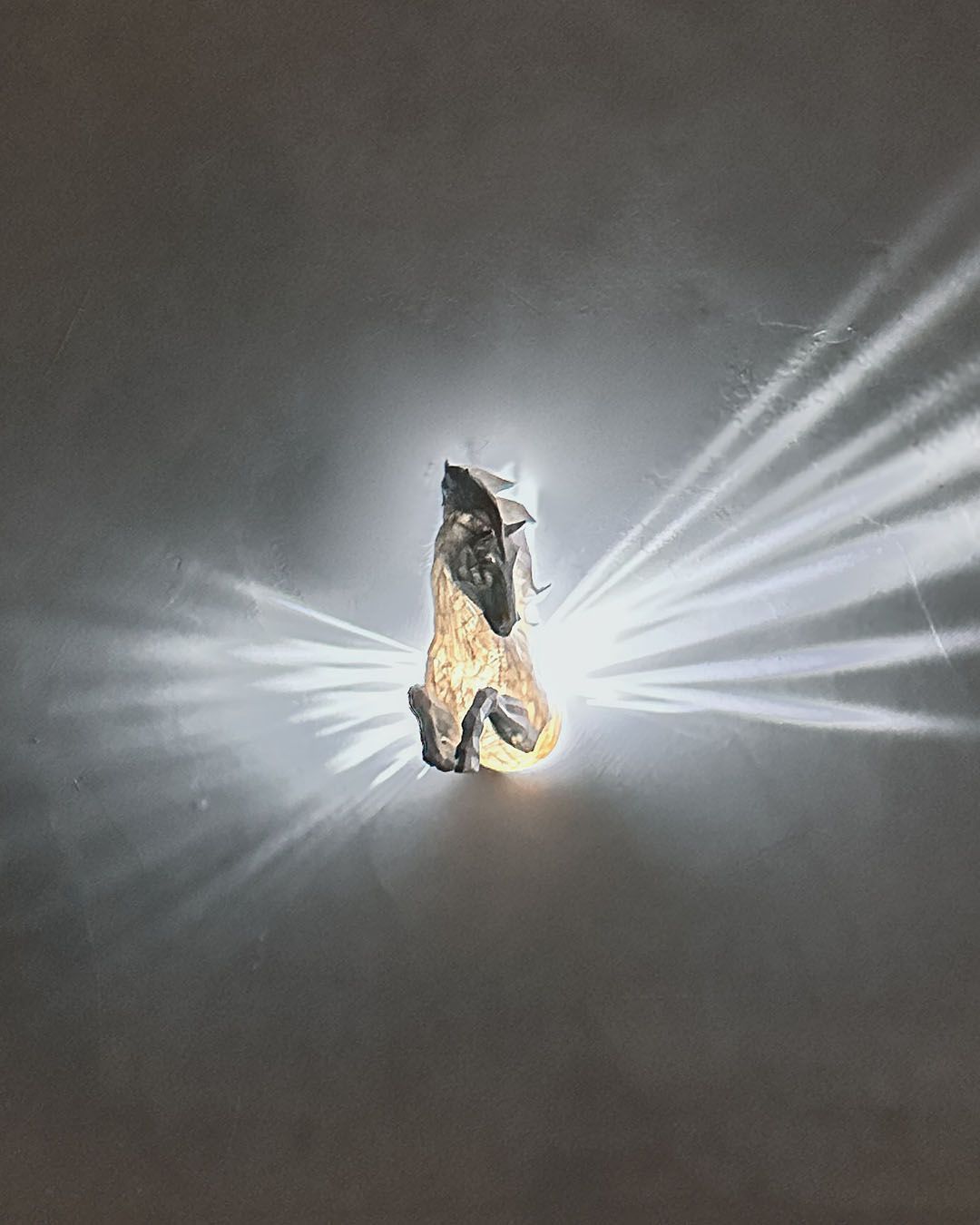 Celestial Pegasus LED Projection Wall Light