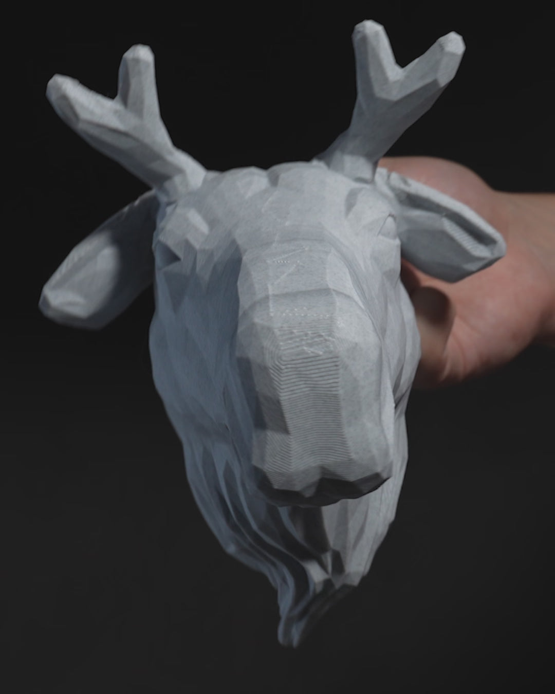 High Elk LED Projection Wall Light