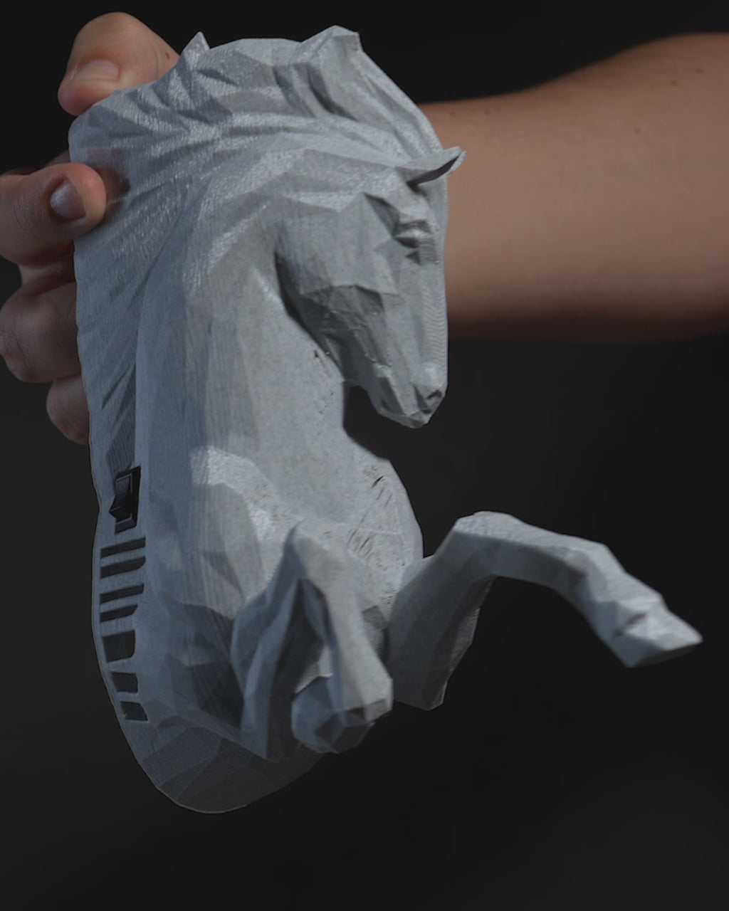 Celestial Pegasus LED Projection Wall Light
