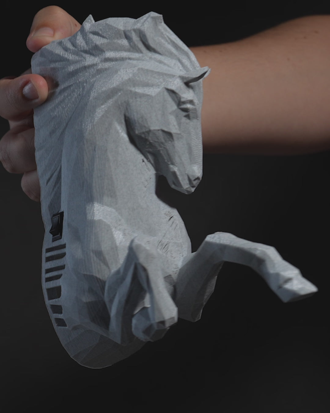 Celestial Pegasus LED Projection Wall Light