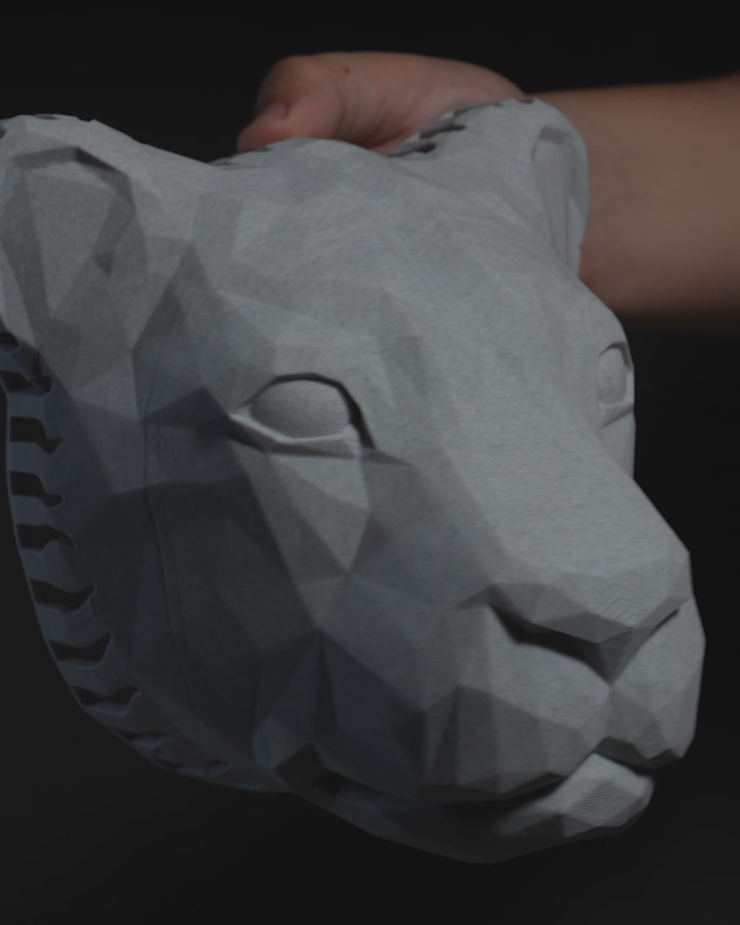 King of the Wall LED Lion Projection Light
