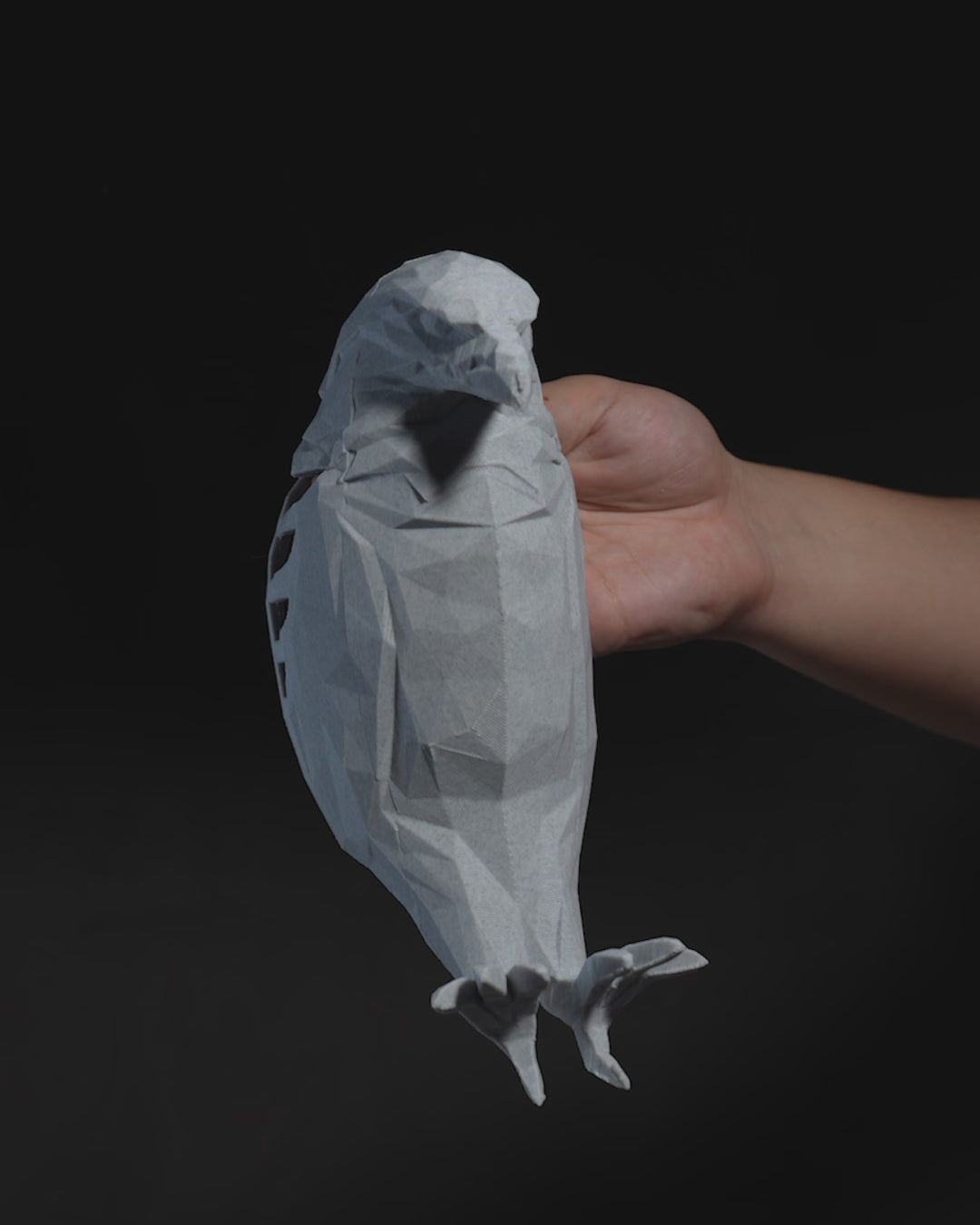 Midnight Eagle – Bald Eagle LED Projection Wall Light